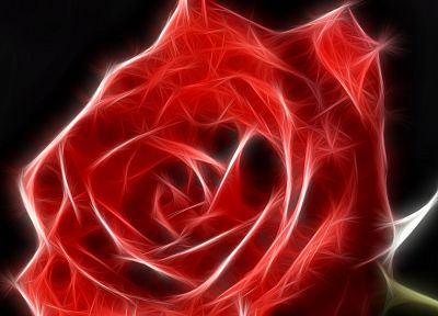 Fractalius, roses - desktop wallpaper