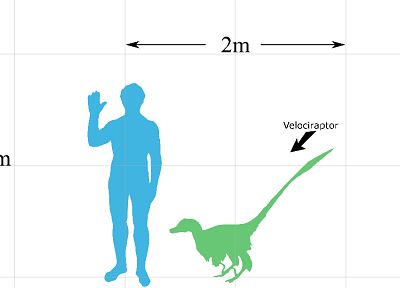 dinosaurs, velociraptor, simplistic - random desktop wallpaper