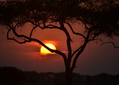 sunset, Africa - random desktop wallpaper