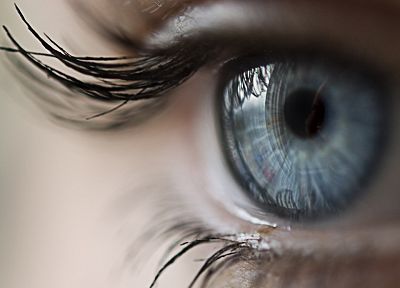 eyes, blue eyes, pupil - duplicate desktop wallpaper