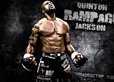 UFC, rampage jackson, Quinton Jackson - duplicate desktop wallpaper