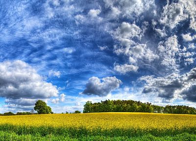 clouds, landscapes, grass, fields, HDR photography - related desktop wallpaper