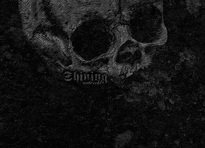 skulls, black, metal, cold, shining, textures - related desktop wallpaper