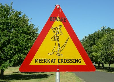 signs, meerkats - random desktop wallpaper