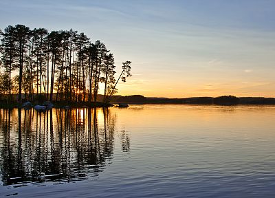 sunset, nature, trees, lakes, reflections - related desktop wallpaper
