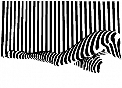black and white, stripes - desktop wallpaper