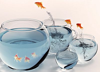 fish, jumping, fish bowls - duplicate desktop wallpaper