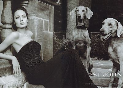 Angelina Jolie - duplicate desktop wallpaper
