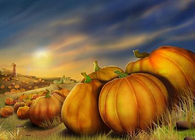 nature, pumpkins - duplicate desktop wallpaper