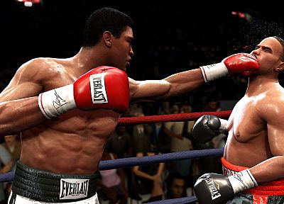 video games, boxing - duplicate desktop wallpaper