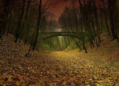 nature, autumn, paths, Falling Down (movie), fallen leaves - random desktop wallpaper