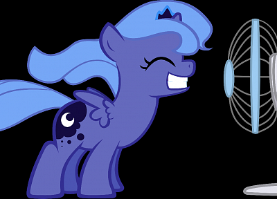 My Little Pony, ponies, Princess Luna, My Little Pony: Friendship is Magic, fans - random desktop wallpaper
