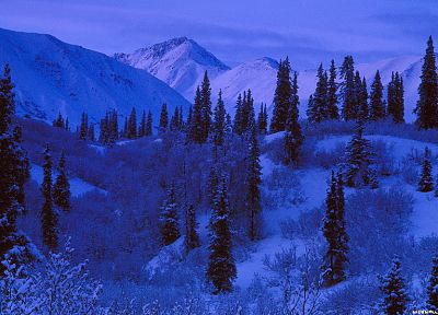 mountains, nature, forests, snow landscapes - random desktop wallpaper