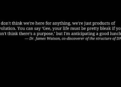 text, quotes, DNA, Dr James Watson - desktop wallpaper