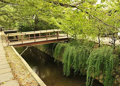 landscapes, nature, trees, bridges, bamboo railing - duplicate desktop wallpaper
