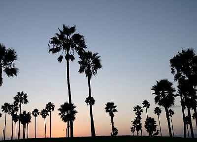 sunset, clouds, landscapes, nature, Sun, skylines, grass, fields, California, palm trees - desktop wallpaper