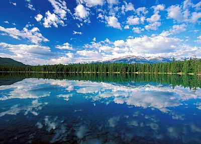 clouds, landscapes, trees, lakes, skyscapes - duplicate desktop wallpaper