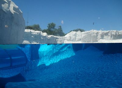 icebergs, split-view - desktop wallpaper