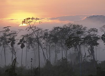 dawn, Peru, amazon, rivers - duplicate desktop wallpaper