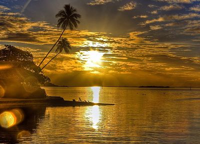 Sun, horizon, palm trees - duplicate desktop wallpaper