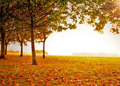 landscapes, autumn - desktop wallpaper