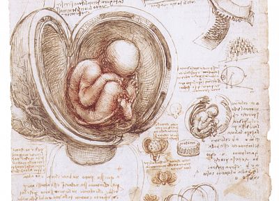 sketches, Leonardo da Vinci - desktop wallpaper