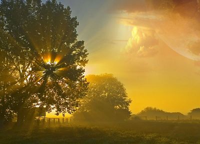 clouds, nature, Sun, trees, sunlight, multiscreen, sun flare - related desktop wallpaper