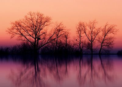 water, sunset, landscapes, nature, trees, skylines, fog, lakes, reflections - related desktop wallpaper