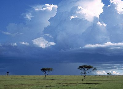 landscapes, storm, national, mara, Africa, Kenya, savanna - related desktop wallpaper