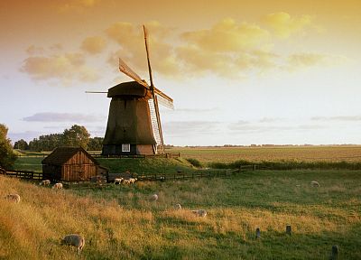 landscapes, fields, windmills - desktop wallpaper