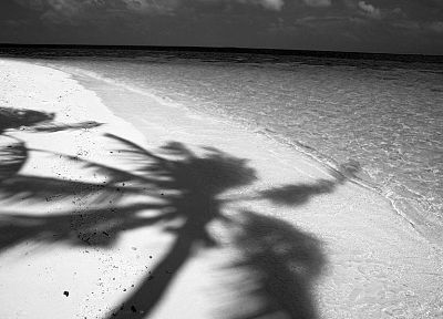 water, sand, Noir, shadows, monochrome, palm trees, beaches - related desktop wallpaper