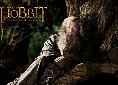 fantasy, movies, Gandalf, The Hobbit, Ian Mckellen, movie posters - random desktop wallpaper