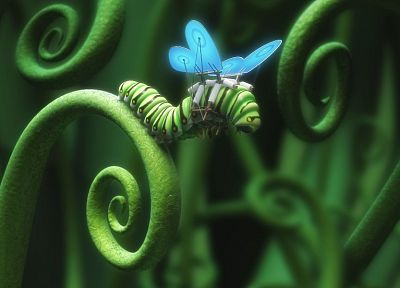 wings, caterpillars, butterflies - duplicate desktop wallpaper