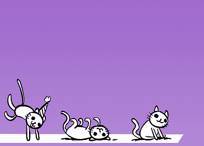 cats, purple, roll, party - desktop wallpaper
