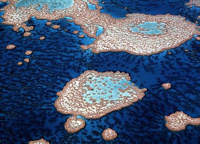 reef, Australia - desktop wallpaper