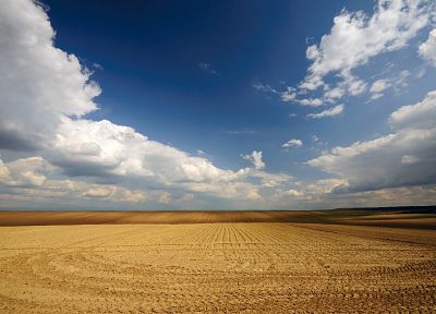 nature, fields, agriculture, skyscapes - desktop wallpaper
