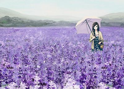 brunettes, flowers, fields, long hair, brown eyes, umbrellas, anime girls - related desktop wallpaper