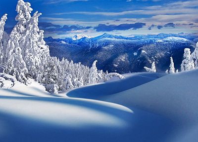 landscapes, nature, winter, snow, trees - random desktop wallpaper