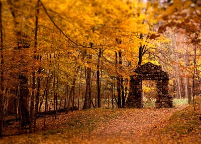 nature, autumn - desktop wallpaper