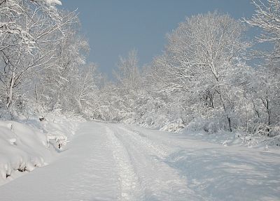 snow, trees, roads - random desktop wallpaper