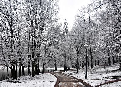 landscapes, nature, winter, snow, trees, forests, roads - related desktop wallpaper