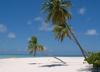 sand, palm trees, beaches - desktop wallpaper