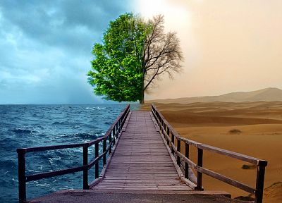 ocean, trees, deserts, bridges, Opposing Force, good vs evil, opposite, two - random desktop wallpaper