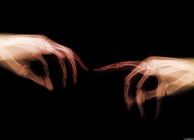 hands, X-Ray, bones - random desktop wallpaper