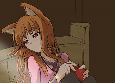 Spice and Wolf, animal ears, Holo The Wise Wolf - random desktop wallpaper