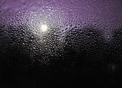 water, purple, wet, water drops, condensation - desktop wallpaper