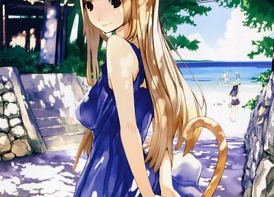 tails, dress, nekomimi, Asobi ni Iku yo!, anime girls, school swimsuits, Eris, bare shoulders - random desktop wallpaper
