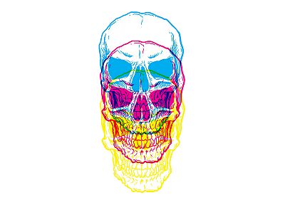 skulls, multicolor, white background - desktop wallpaper