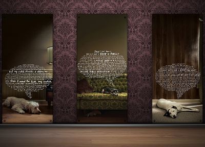 dogs - duplicate desktop wallpaper