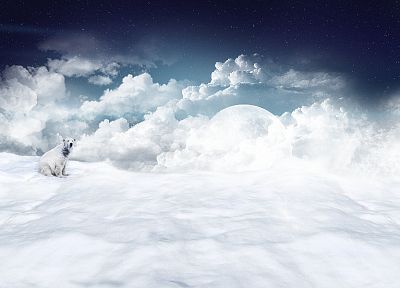 clouds, snow, moons, polar bears - random desktop wallpaper